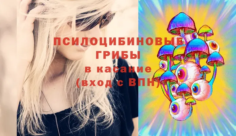 что такое   Киренск  Псилоцибиновые грибы Magic Shrooms 